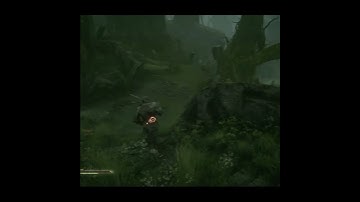 Need to pay more attention in Mortal Shell #soulslike