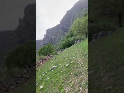 ایلام زاگرس سیروان عید۱۴۰۰۱ تفریح