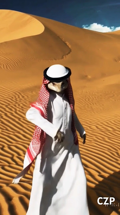 Viral Belly Dance Sanda Habibi #shorts #sanda #habibi #remix