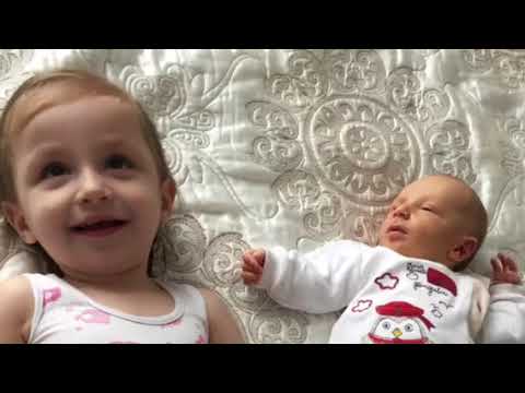 შეჯამება