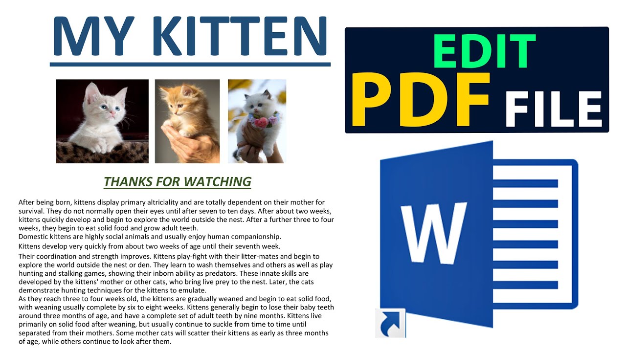 How to Edit Any PDF File in MS WORD 2019 - YouTube