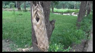 HONGERENI KWA UBUNIFU HUU