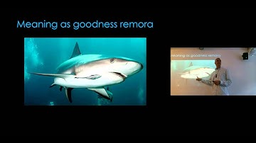 Michael Steger at UEL 17 June 2015 "Meaning in Life & Health: Better Life, Longer Life?"