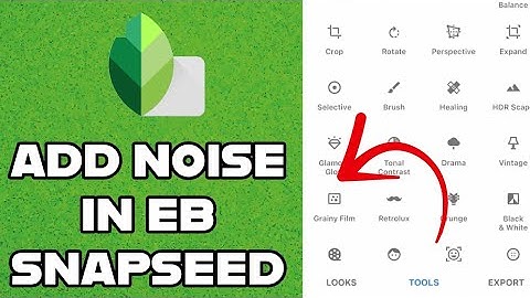 How to Add Noise in Snapseed App 2024?