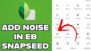 How to Add Noise in Snapseed App 2024? screenshot 3