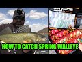 WE ARE BACK!! | Open Water Spring Walleye!!