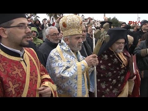 Video: Malta xaç toxumlarını necə yetişdirirsiniz?