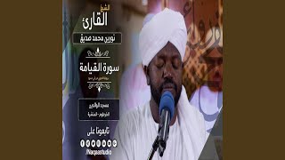نورين محمد صديق روائع الفجر القيامة