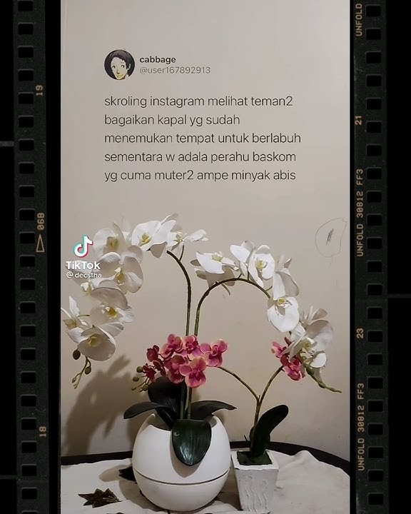 Story Wa/Ig Keren Aesthetic || Muter2 Aja Kaga Jelas