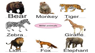 Pseb 5th English Lesson 2 Two Frogs | pseb 5 RAINBOW | PSEB 5th English chapter 2 Two Frogs | Part 2