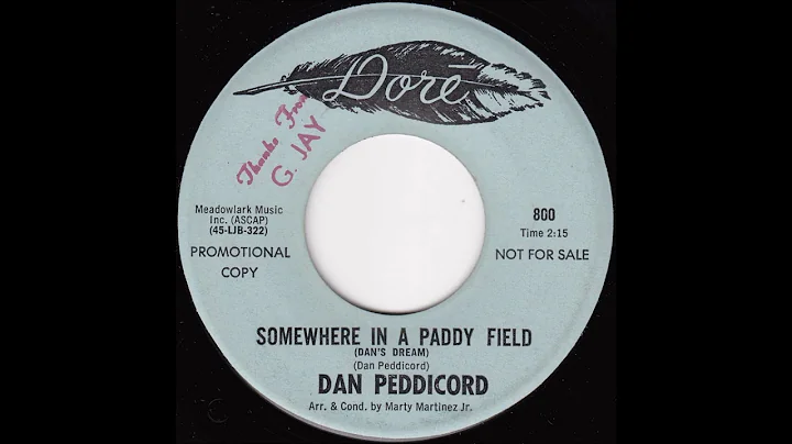 Dan Peddicord - Somewhere in a Paddy Field