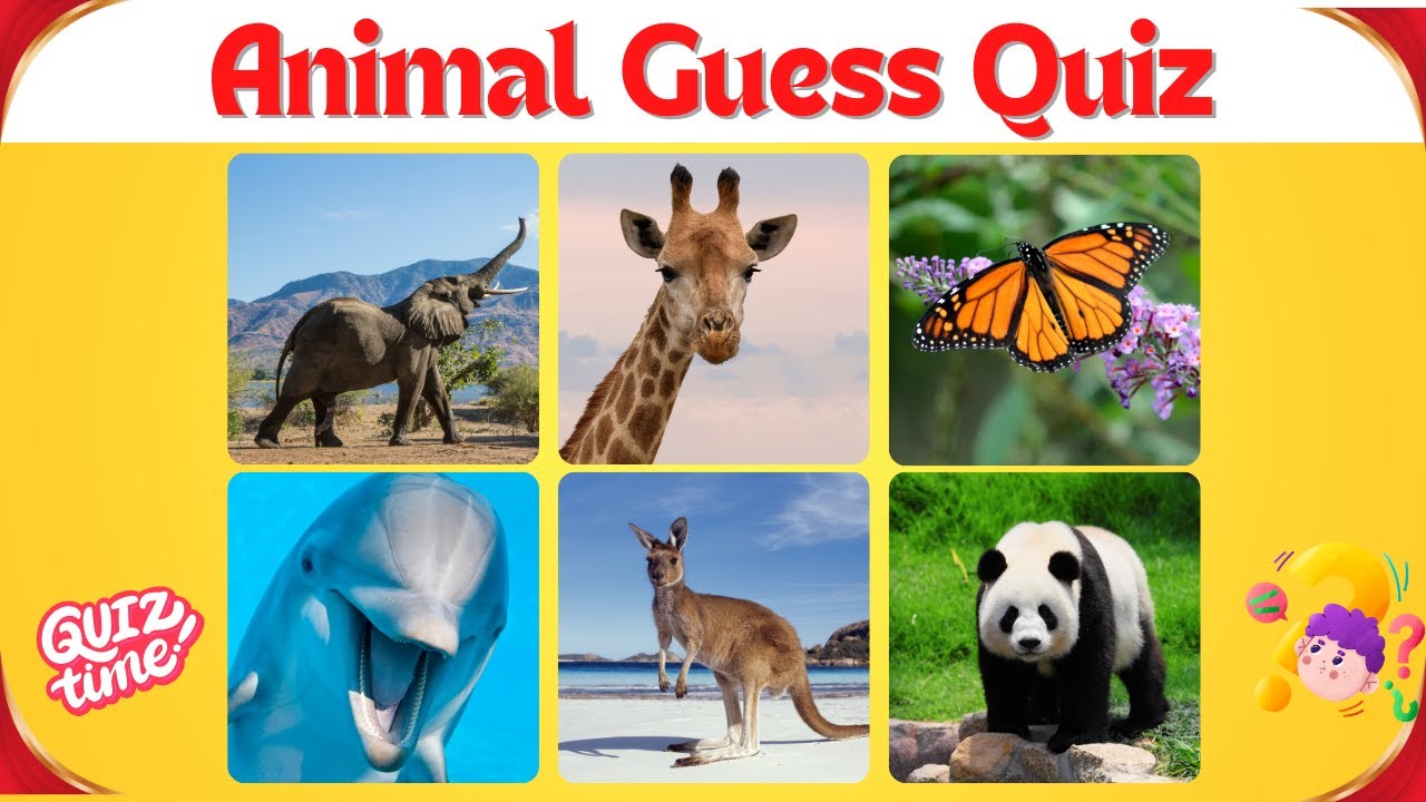 Will You Take This Challange? quiz animal quiz learning animal