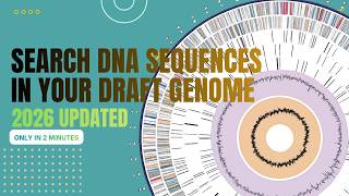 How to Search DNA Sequences in Your Draft Genome Using BLAST?