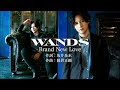WANDS (上原大史) - Brand New Love【ZARD Ver.ミックス】
