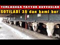 ZOR👍 YEMGA TAYYOR NOVVOSLAR🐂 SOTILADI 💵