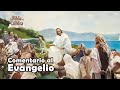 Bendito el Hombre que Confía en el Señor - Comentario al Evangelio del Domingo