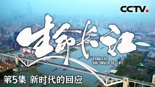 《生命长江》 长江新章：十年禁渔令与河流的历史印记 EP05【CCTV纪录】