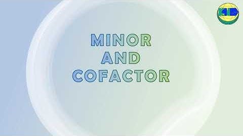 Determinant of 2x2 matrix, minor and cofactor