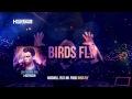 Video Birds Fly Hardwell