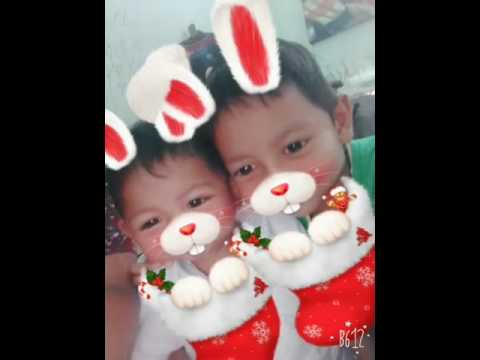 ชาลีฟ25266
