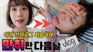 회사땡땡이+ 당근마켓 거래성사+ 이마트장보기+ 술먹고 술주정 그리고 후폭풍....(죽다 살아남) | 디바제니