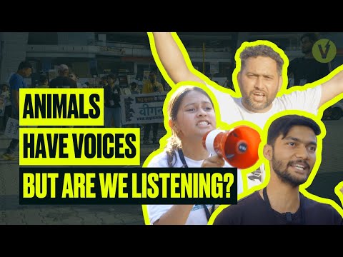 Animals have voices, but are we listening?