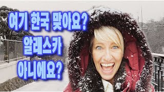 텍사스에서도 경험 못한 함박눈을 한국에서 봤어요 / Check Out These Beautiful Big Snowflakes Falling In Seoul Today!