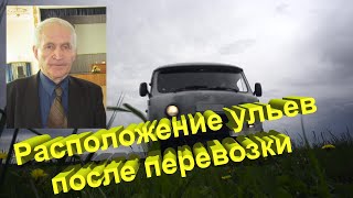 Профессор Кашковский про расположение ульев после перевозки