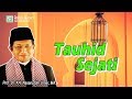 Tauhid Sejati - Prof. Dr. KH. Nasaruddin Umar, MA