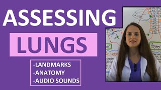 Lung Auscultation Landmarks, Sounds, Placement Nursing | Assessing Lungs Part 1 screenshot 5