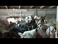 КАК УСТРОЕН КОЗОВНИК НА НАШЕЙ ФЕРМЕ