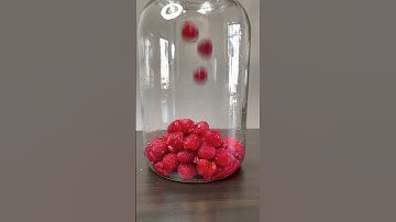 HOW TO MAKE RASPBERRY MEAD (PART 1)