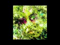 LIVE ELECTRONICA MIX; Music Inspired By Techno, House, Electro and Ambient; For Energy/Movement