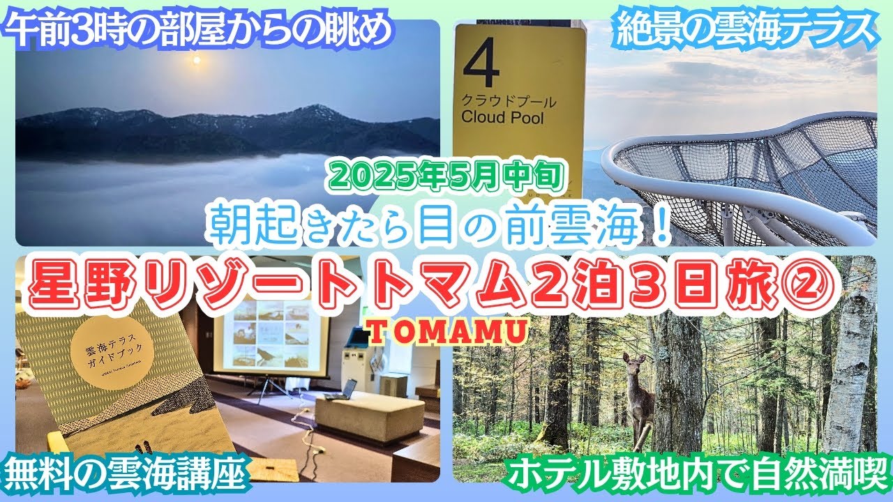 【星野リゾートトマム②】早朝から雲海見たり一日中ホテル敷地内で楽しむ。ザ・タワー2泊3日の2日目。