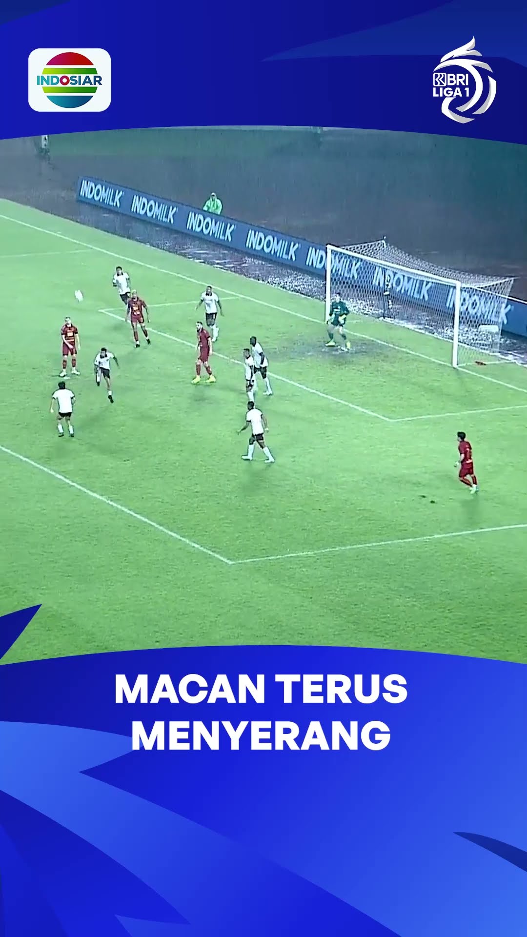 Macan terus masih menyerang #shorts #liga1