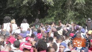 Delta Sigma Theta 2015 Atlanta Greek Picnic Stroll Off
