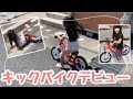 キックバイクデビューに密着【3歳【女の子】