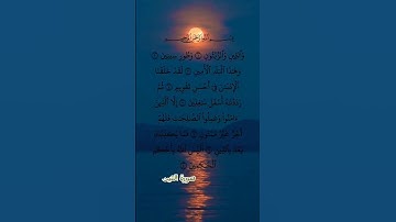 والتين والزيتون 💚⚘️سورة التين حالات واتس اب قرآن كريم