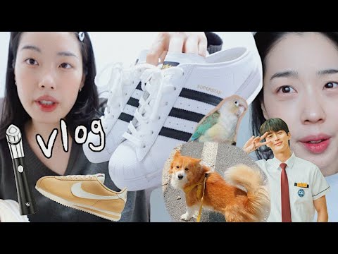 🌱288 영어 Vlog I 새로산 템들 추천 I 부스터힐러 I 코르테즈 + 슈퍼스타 I 드라마 과몰입 I 김갈릭