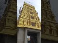 Arupadai veedu kumarankottam 🙏🏼 #youtube #youtubeshorts #travel #god