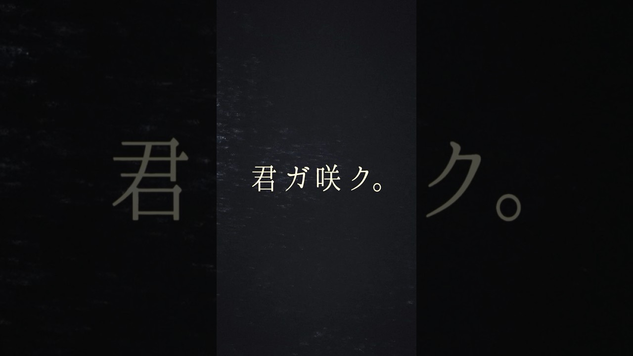 【君ガ咲ク。】櫻坂46 新メンバーオーディション ティザー映像 #shorts