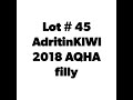 Lot 45 adritinkiwi