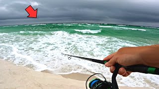 THIS is WHY You Always Bring a LURE when SURF FISHING