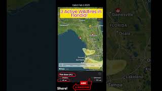 Florida Wildfire Alert: Latest Updates on Active Fires 🌲🔥