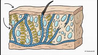 What causes the sensation of insects crawling under my skin (formication)? | WHC Clinical FAQ