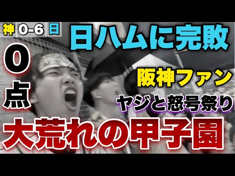 【新庄采配に完敗】日ハム打線に2試合連続で打たれまくり大敗。阪神3連敗。情けないエラー連発で阪神ファン怒り心頭。ヤジと怒号が飛び交う甲子園ライトスタンド。6番山﨑福也。2024/5/30阪神対日本ハム