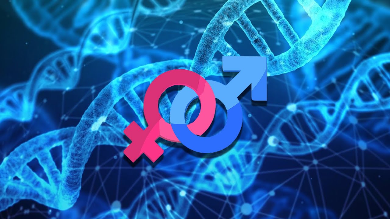 Biology at the District Court