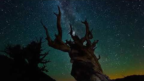 سورة الفاتحة بأجمل الاصوات مكررة 7 مرات