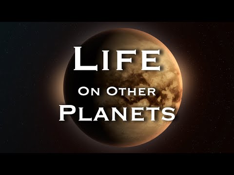 Looking For Life On Other Planets with astrobiologist and Associate Professor Aomawa Shields