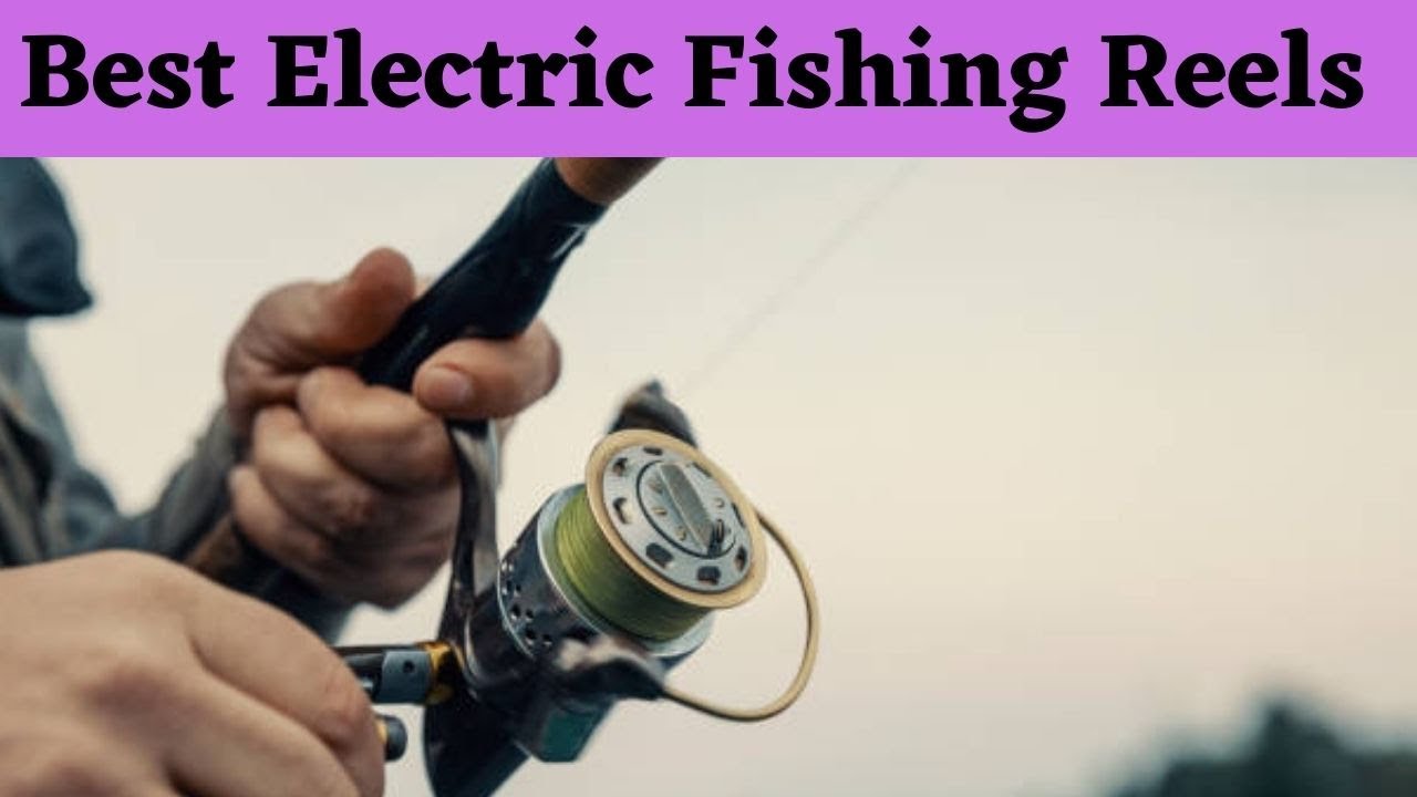 7 Best Electric Fishing Reels: A full guide to the world of electric reels  